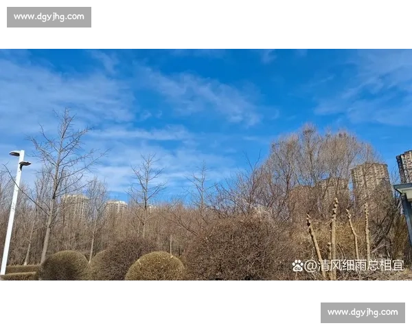 天空与太阳的对话：光影交织下的晨昏变幻与自然之美